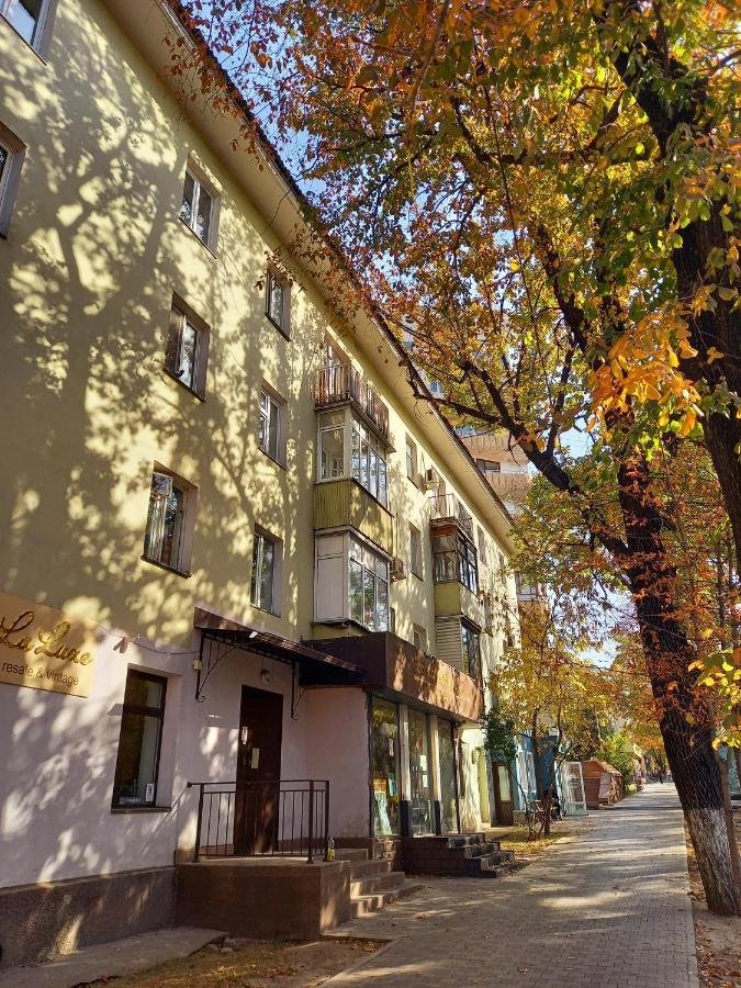 "В Центре Города" Квартира - "Downtown" Apartment Almaty Extérieur photo